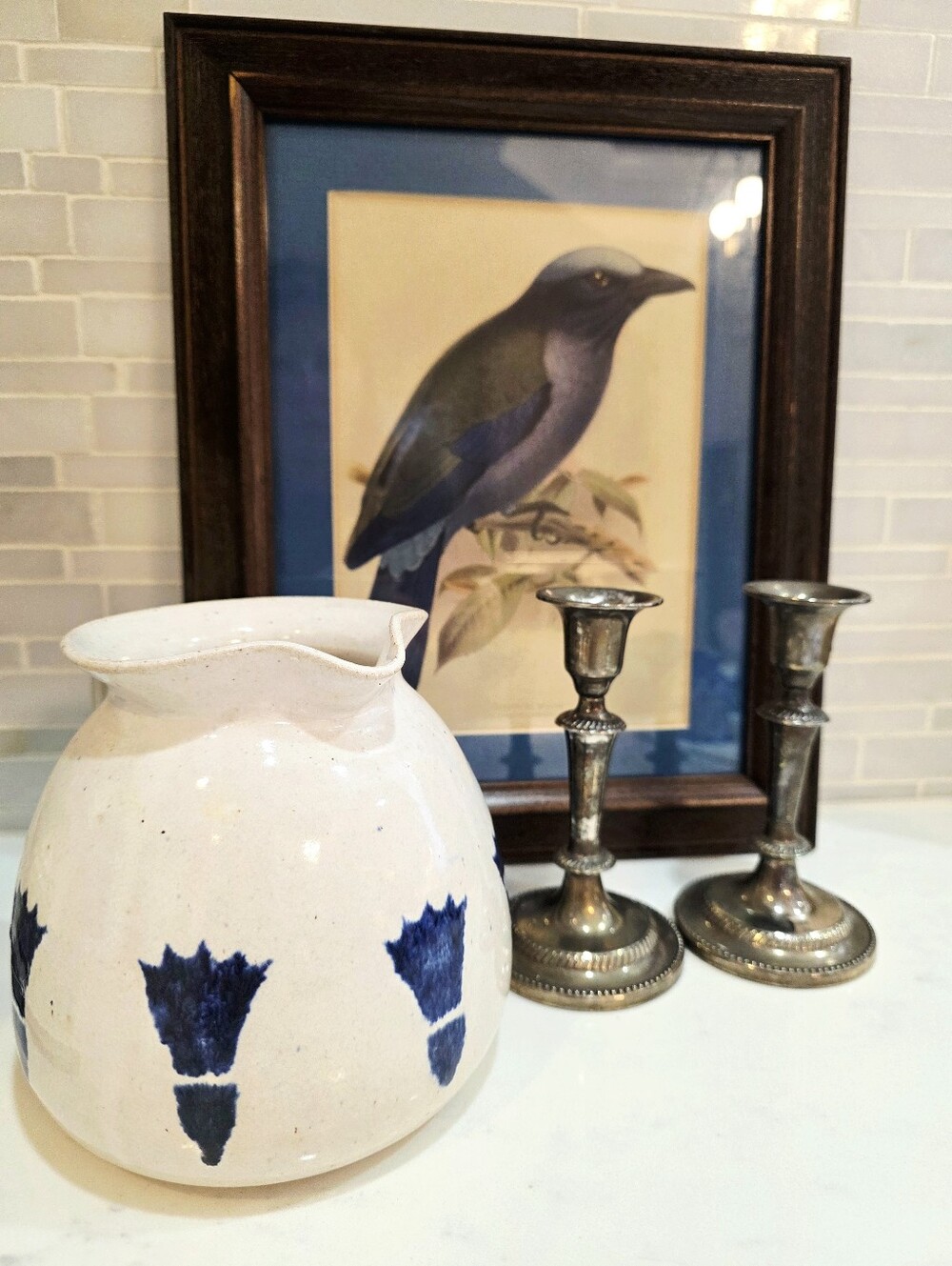 Vintage Temmink's Roller Bird Print